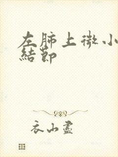 左肺上微小钙化结节