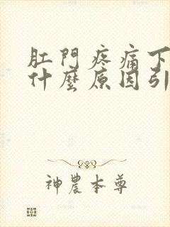 肛门疼痛下坠感什么原因引起的