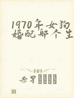 1970年女狗婚配哪个生肖好封面
