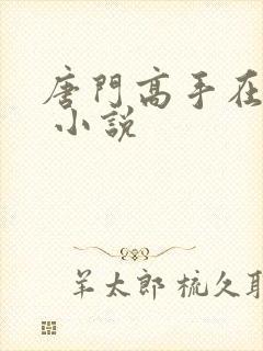 唐门高手在异世 小说封面