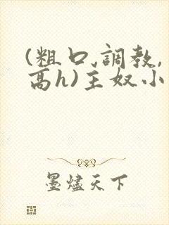 (粗口,调教,高h)主奴小说