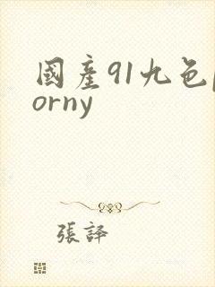 国产91九色porny封面