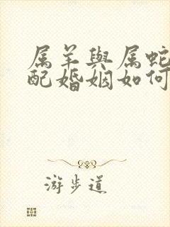 属羊与属蛇的相配婚姻如何