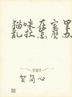 猫咪在家里乱尿乱拉怎么办