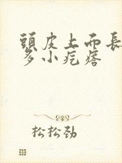 头皮上面长了好多小疙瘩