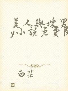 美人与坏男人by小说免费阅读封面