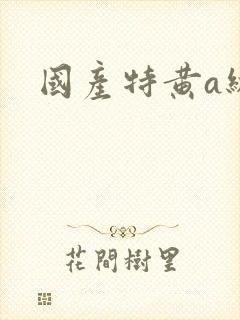 国产特黄a级片封面