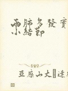 两肺多发实性微小结节封面