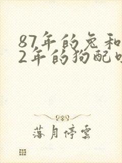 87年的兔和82年的狗配吗