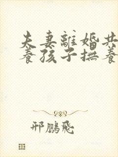 夫妻离婚共同抚养孩子抚养权归谁封面