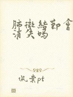 肺微结节会自己消失吗