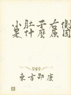 小肚子右侧胀疼是什么原因女性