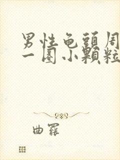 男性龟头周围长一圈小颗粒