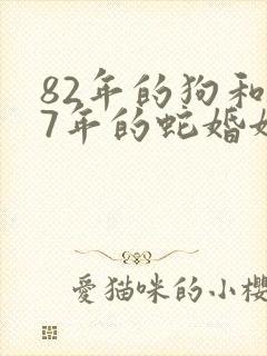 82年的狗和77年的蛇婚姻相配吗封面