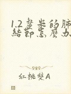 1.2厘米的肺结节怎么办