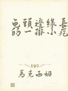 龟头边缘长肉色的一排小疙瘩封面