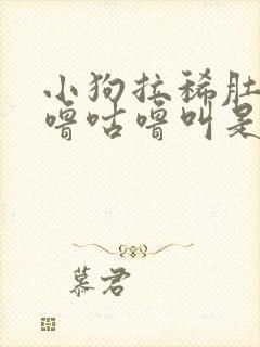 小狗拉稀肚子咕噜咕噜叫是怎么回事