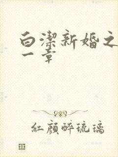 白洁新婚之夜第一章