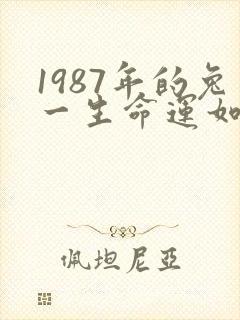 1987年的兔一生命运如何
