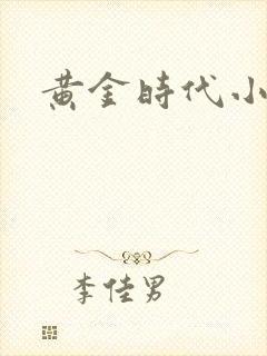 黄金时代小说封面