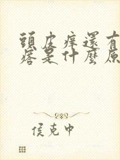 头皮痒还有小疙瘩是什么原因封面