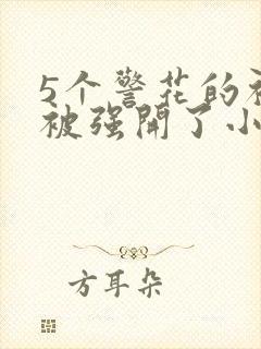 5个警花的初苞被强开了小说封面