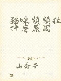 猫咪频频拉尿是什么原因