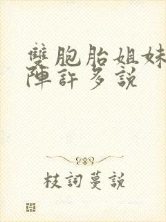 双胞胎姐妹齐上阵许多说