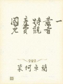 国产特黄一大片免费观看