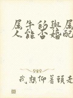 属牛的与属马的人能否婚配