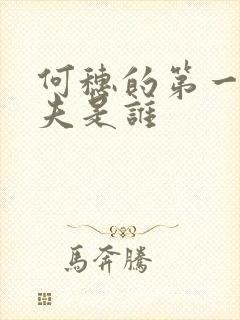 何穗的第一任丈夫是谁封面