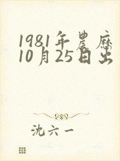 1981年农历10月25日出生的鸡命运
