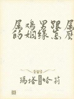 属鸡男跟属马女的姻缘怎么样