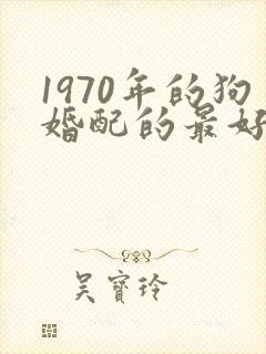 1970年的狗婚配的最好属相