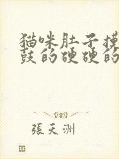 猫咪肚子摸着鼓鼓的硬硬的