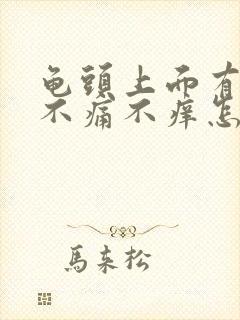 龟头上面有红点不痛不痒怎么办封面