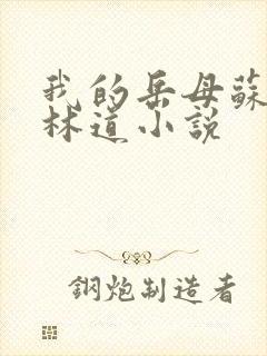 我的岳母苏沛真林道小说封面