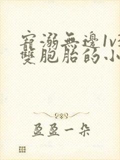 宠溺无边1v3双胞胎的小说