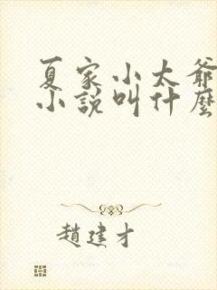 夏家小太爷原著小说叫什么名字封面