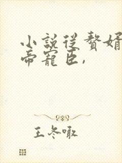 小说从赘婿到女帝宠臣,