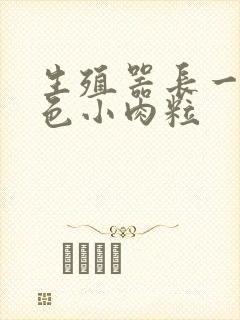 生殖器长一排白色小肉粒封面