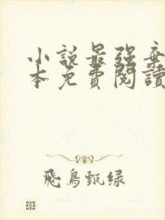 小说最强弃少完本免费阅读