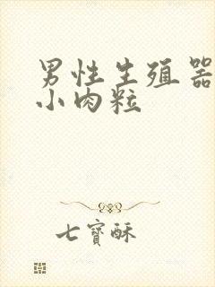 男性生殖器长个小肉粒封面