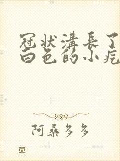 冠状沟长了一圈白色的小疙瘩