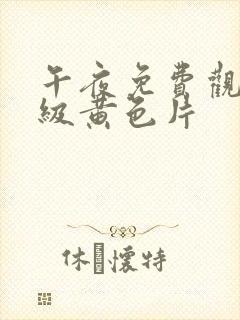 午夜免费观看一级黄色片