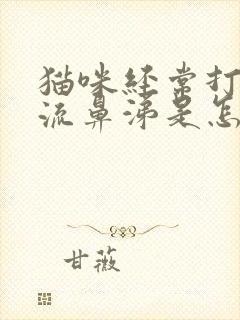 猫咪经常打喷嚏流鼻涕是怎么回事封面