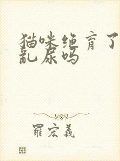 猫咪绝育了还会乱尿吗封面