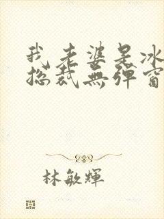 我老婆是冰山女总裁无弹窗免费