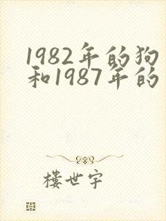 1982年的狗和1987年的兔婚姻好吗