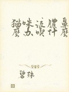 猫咪流脓鼻涕怎么办吃什么药